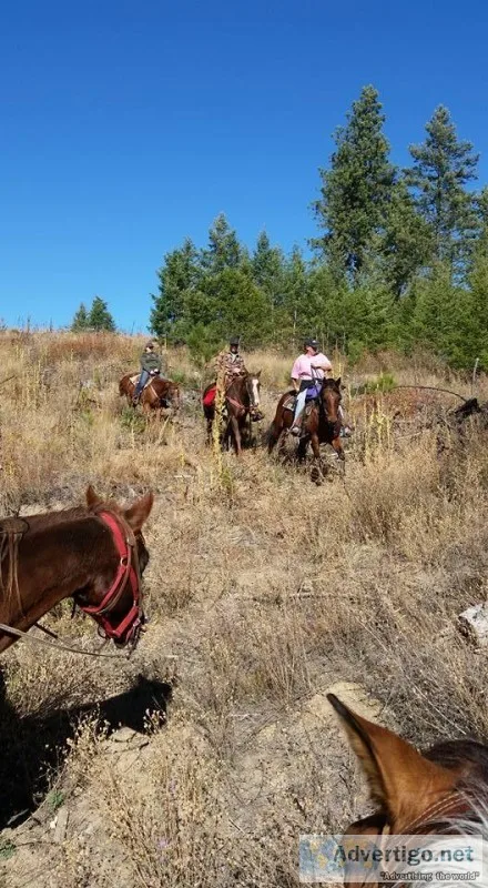 horseback trail rides