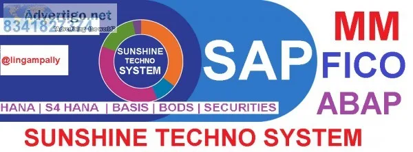 Sunshine  Best Training Institute for the Testing Tools Selenium
