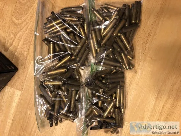 Once used brass 223