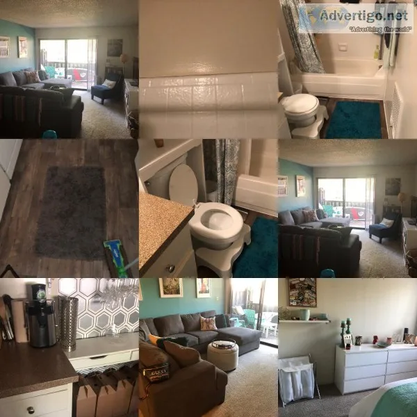 BASIC HOUSE CLEANING