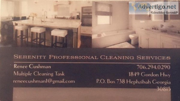 Professional cleaning service