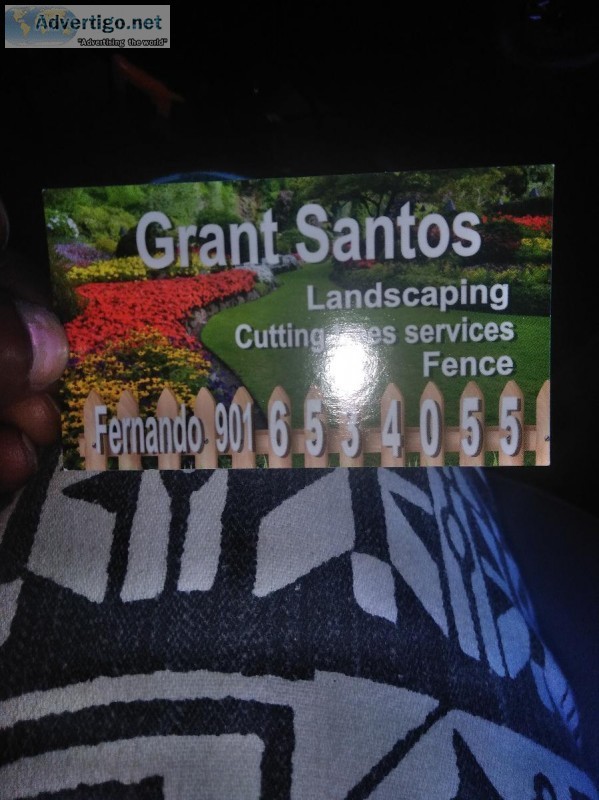 Landscaping and fence