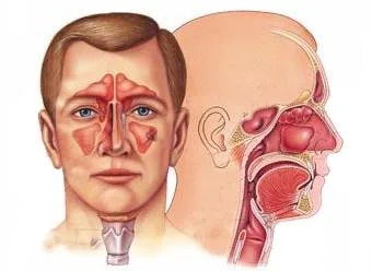 ENT surgeon in india  Vaidam Health