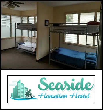 Ensure Comfortable And Affordable Stay Waikiki Near Bus Stand