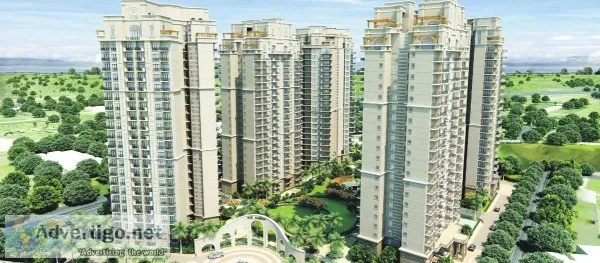 Live an ecstatic life in Ace Golfshire Noida Call 9250002253