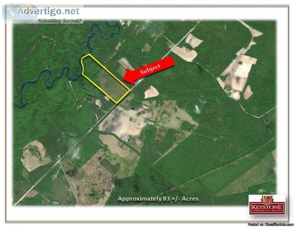 Hinson Tract-83 Acre River Tract-Nichols SC- For Sale