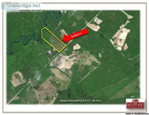 Hinson Tract-83 Acre River Tract-Nichols SC- For Sale