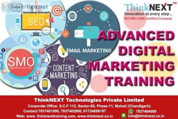 Digital Marketing Company in Chandigarh Mohali Panchkula-ThinkNE