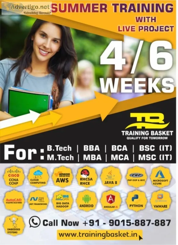 Best Summer Training In Noida  Training Basket  6 weeks Summer T