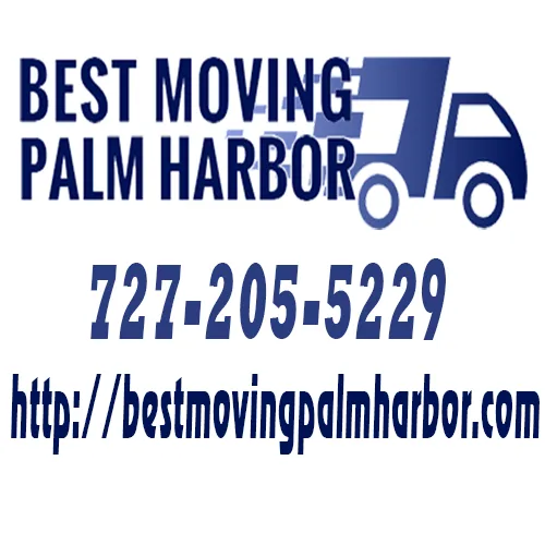 Best Moving Palm Harbor