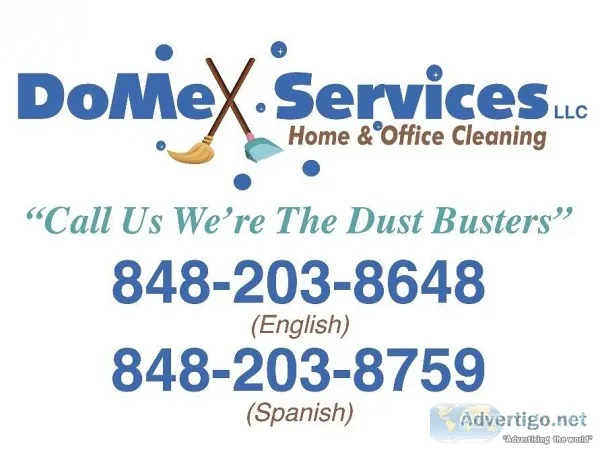DOMEX SERVICES LLC