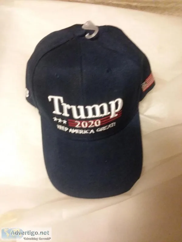 Trump 2020 campaign hat brand new