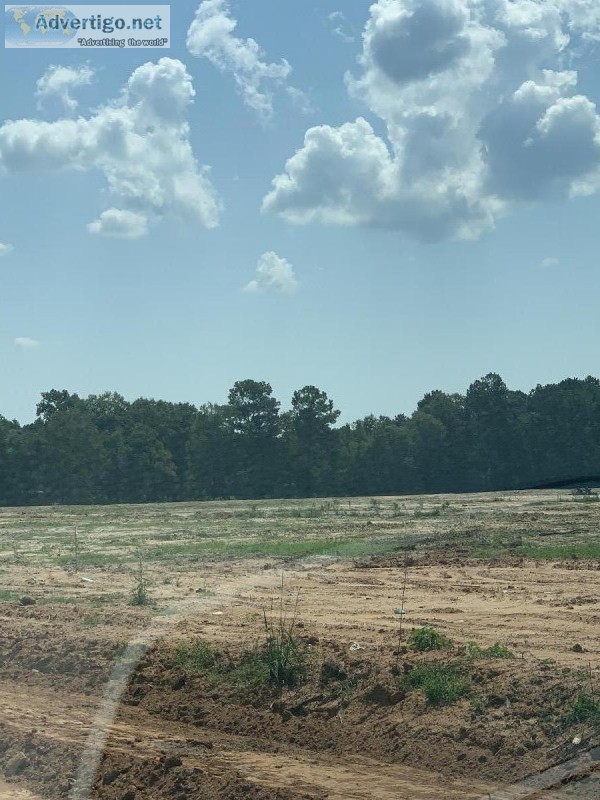 Terrenos Land lots for sale