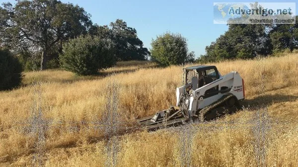 Affordable Brush Clearing and Weed Abatement - Low Rates