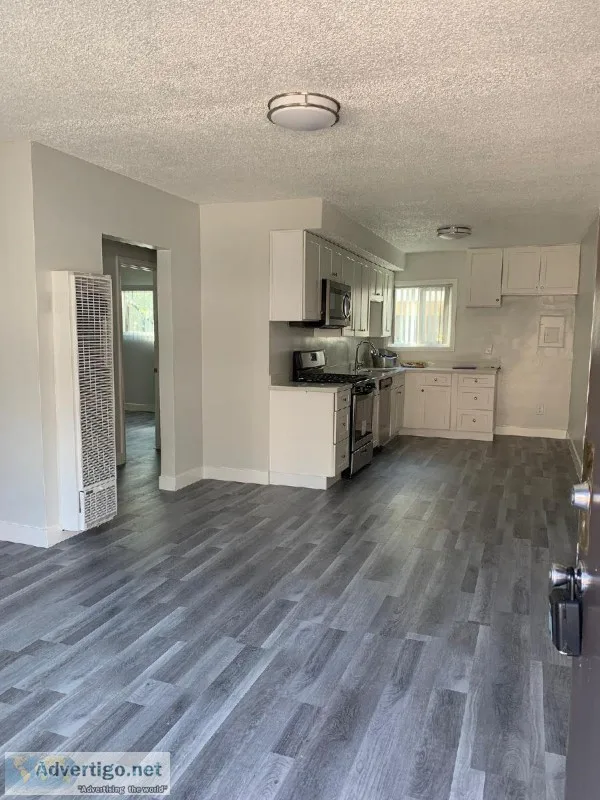 21 Apartment for Rent with Upgrades