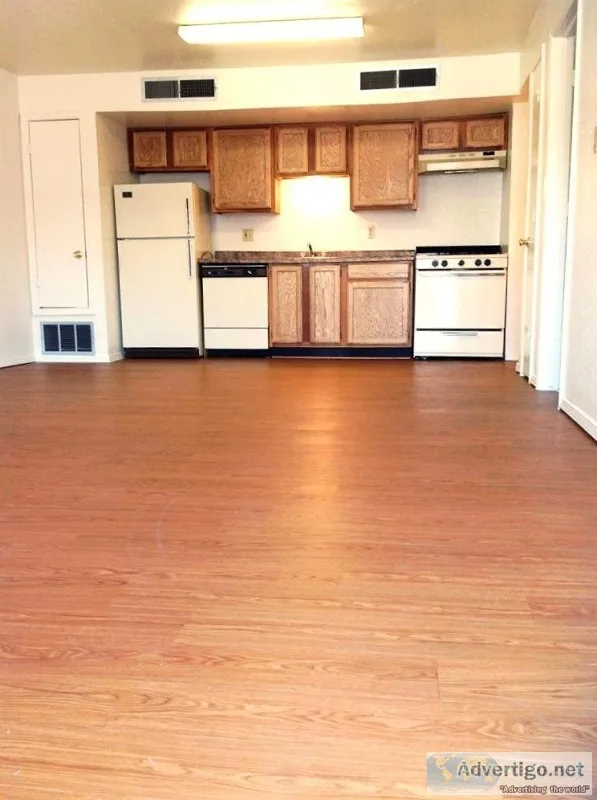 Seeking Awesome Renters at OMNI