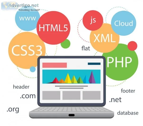 Web Designing and Web Development Course in Delhi
