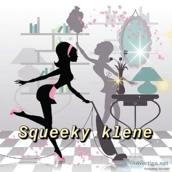Are you looking for a professional cleaner in the Aberdeenshire