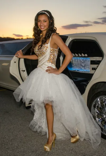 Limousine Rental Services in Houston
