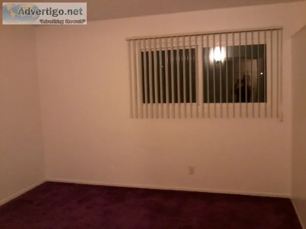cuarto de renta