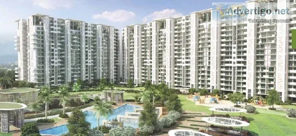 Want to Buy a Property in Panchkula Chandigarh