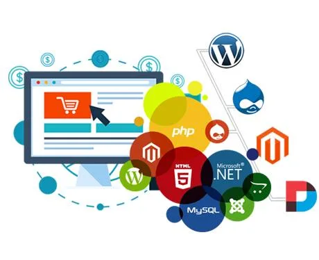 Custom Software Development Company Pune