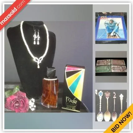 Toronto Estate Sale Online Auction - Oakdale Road (STORAGE)