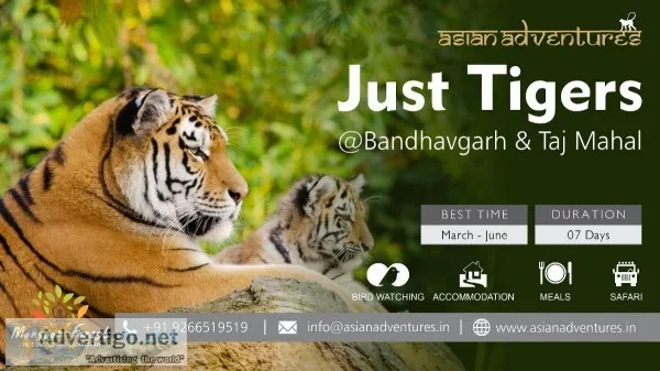 Bandhavgarh safari online booking