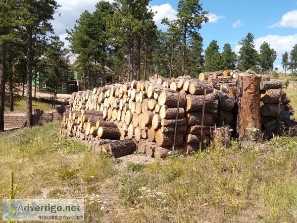 Firewood
