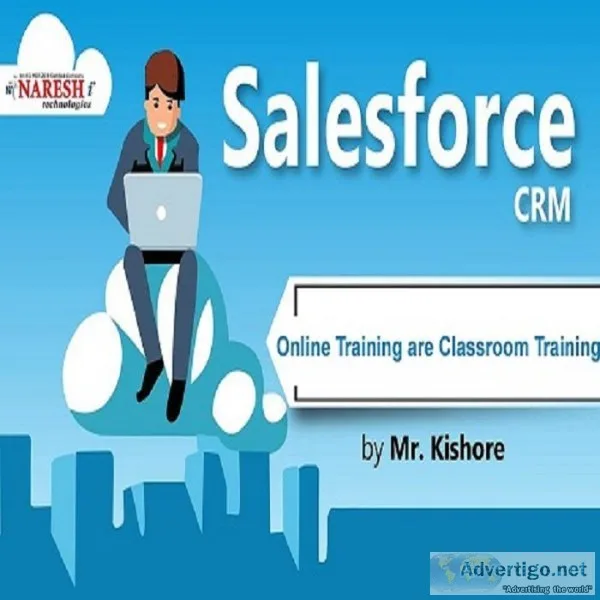 Sales Force online Training