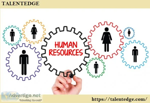 Human Resources Professional Certification