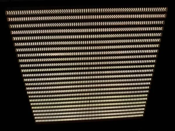 Mac Tech 960 LED Tungsten
