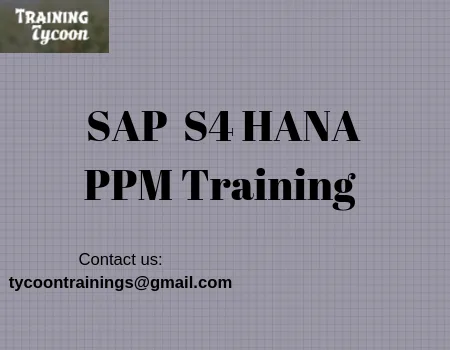 SAP S4 HANA PPM Training  SAP PPM Online Training - TT