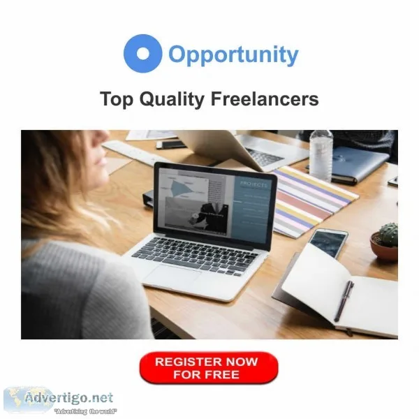Frontend Programmer Back End Programmer