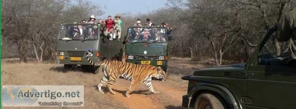 Tiger safari India package