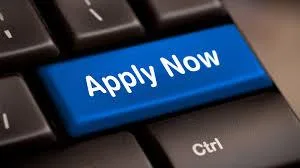 Online Marketing promtion work in tourism company.