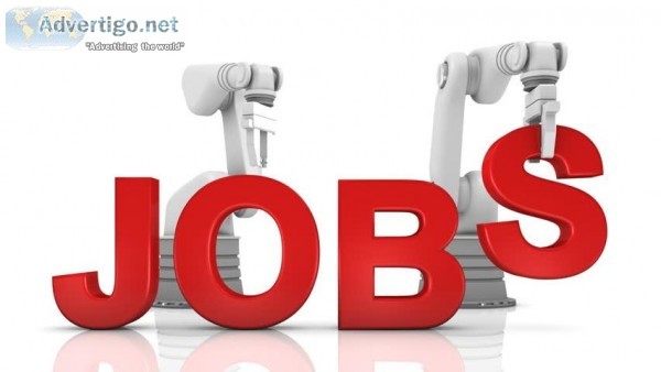 Online home Income Opportunity In Tourism Company.