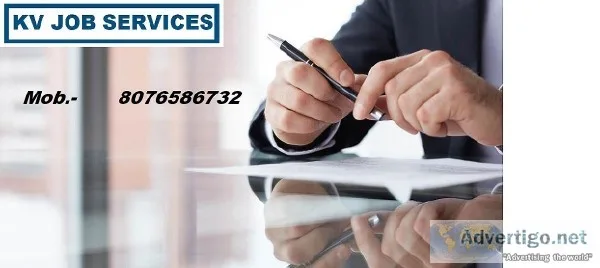 IT Consultancy in Noida