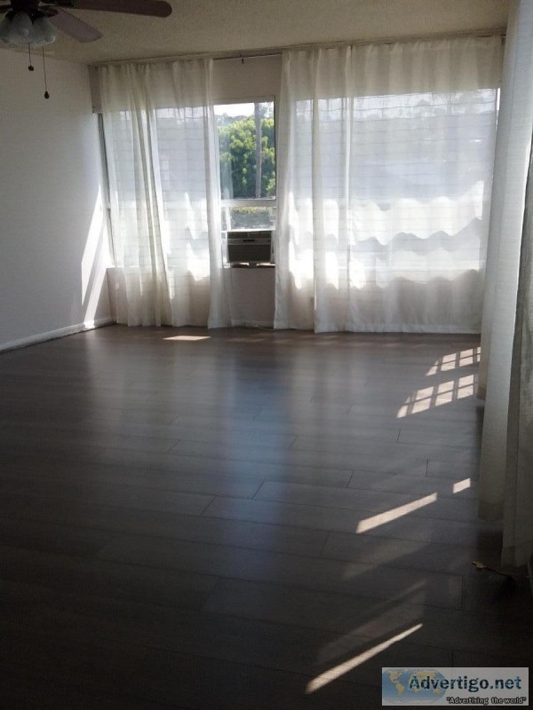 North Pacific beach custom one bedroom