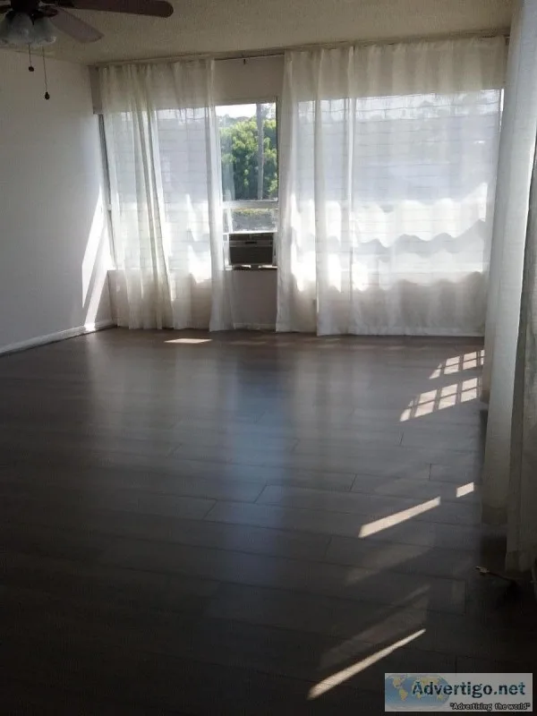 North Pacific beach custom one bedroom