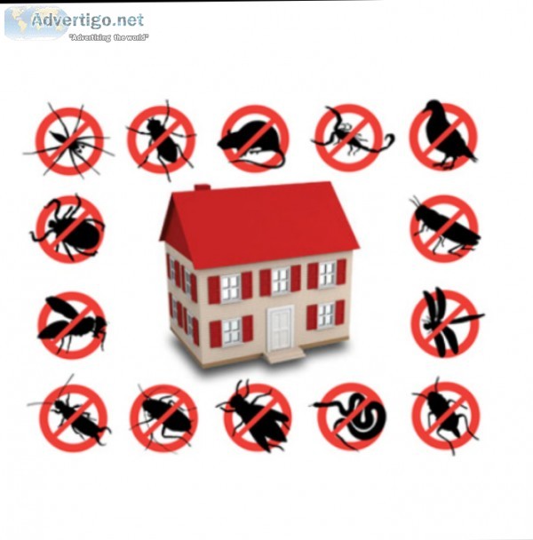 Affordable Pest Control