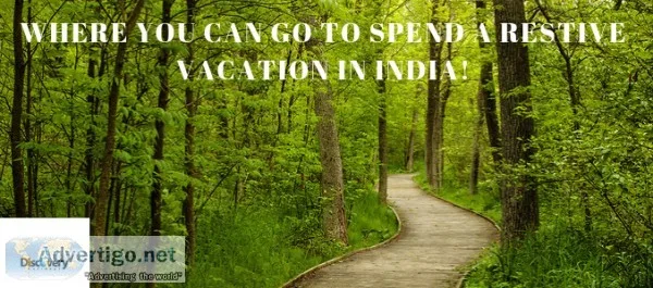 Discovery Holidays Is Here To Help You Spend Your Summers In Ser
