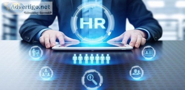 Terrier HR helps you manage critical HR processes