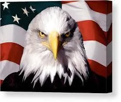 American Eagle Cleaning