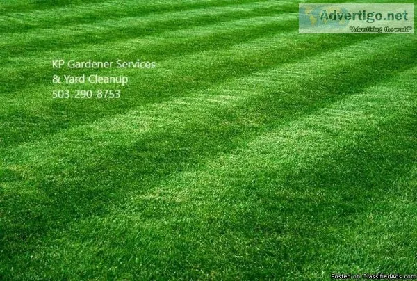 KP Garden Services and Yard Clean-Up 503-290-8753
