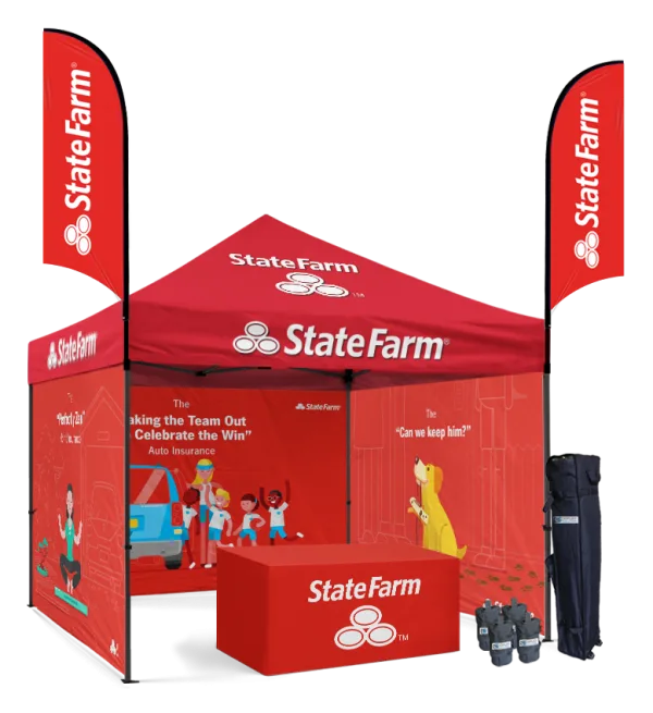 Buy 10x10 CanopyTent and Get Exclusive Offers On It  New York