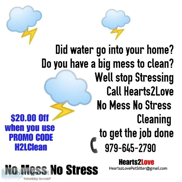 No Mess No Stress Cleaning
