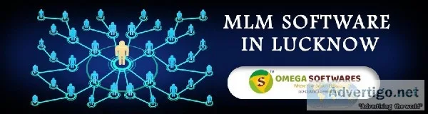Best MLM Software Development company in Lucknow at reasonable r