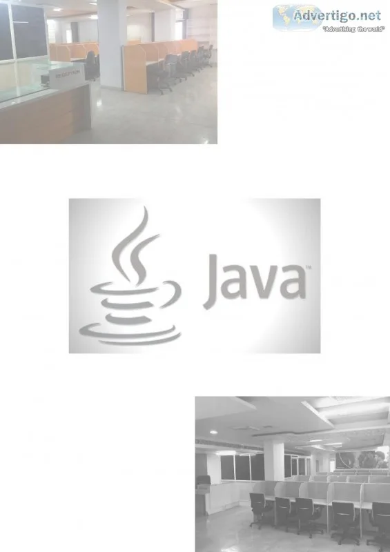 TECHNICAL LEAD FULL STACK DEVELOPER
