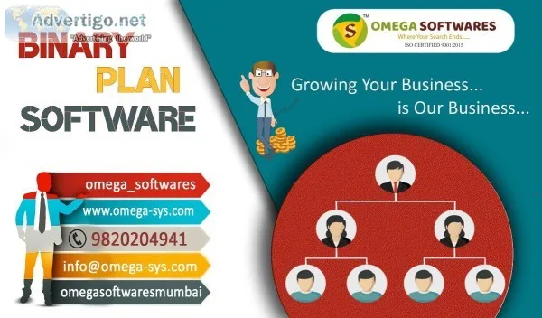 Affordable MLM Binary Plan Software provider in India